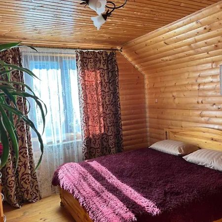 ані і яни