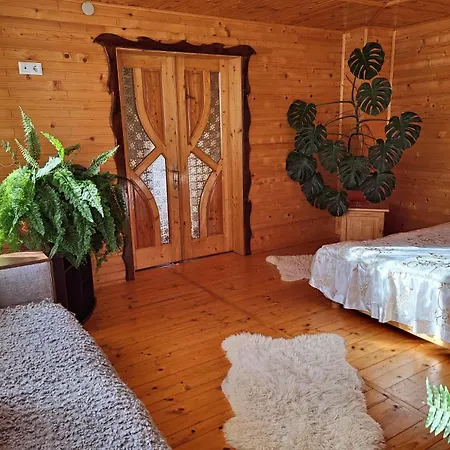 ані і яни Villa Jaremtje