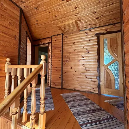 ані і яни Villa *